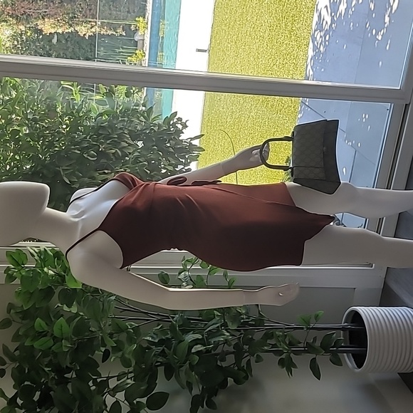 Tan/Rust Dress - Picture 5 of 5